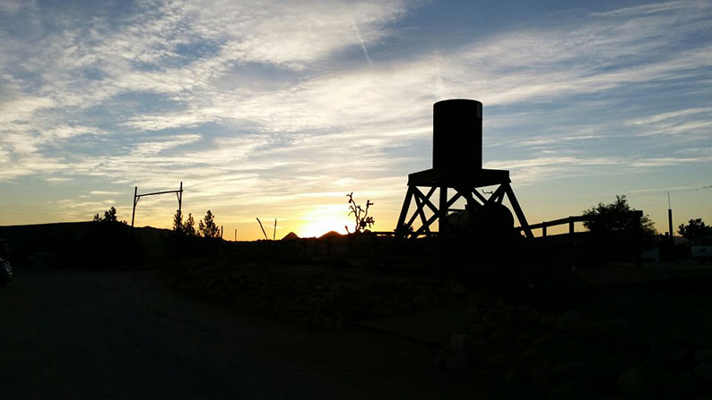 the sun rising on the Yucca valley 