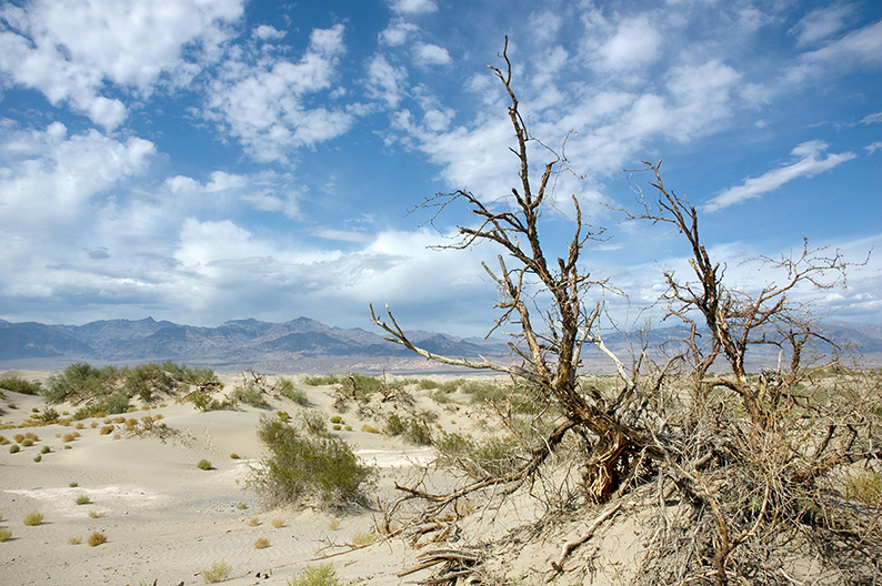 Death Valley