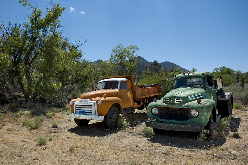 Old pick up trucks