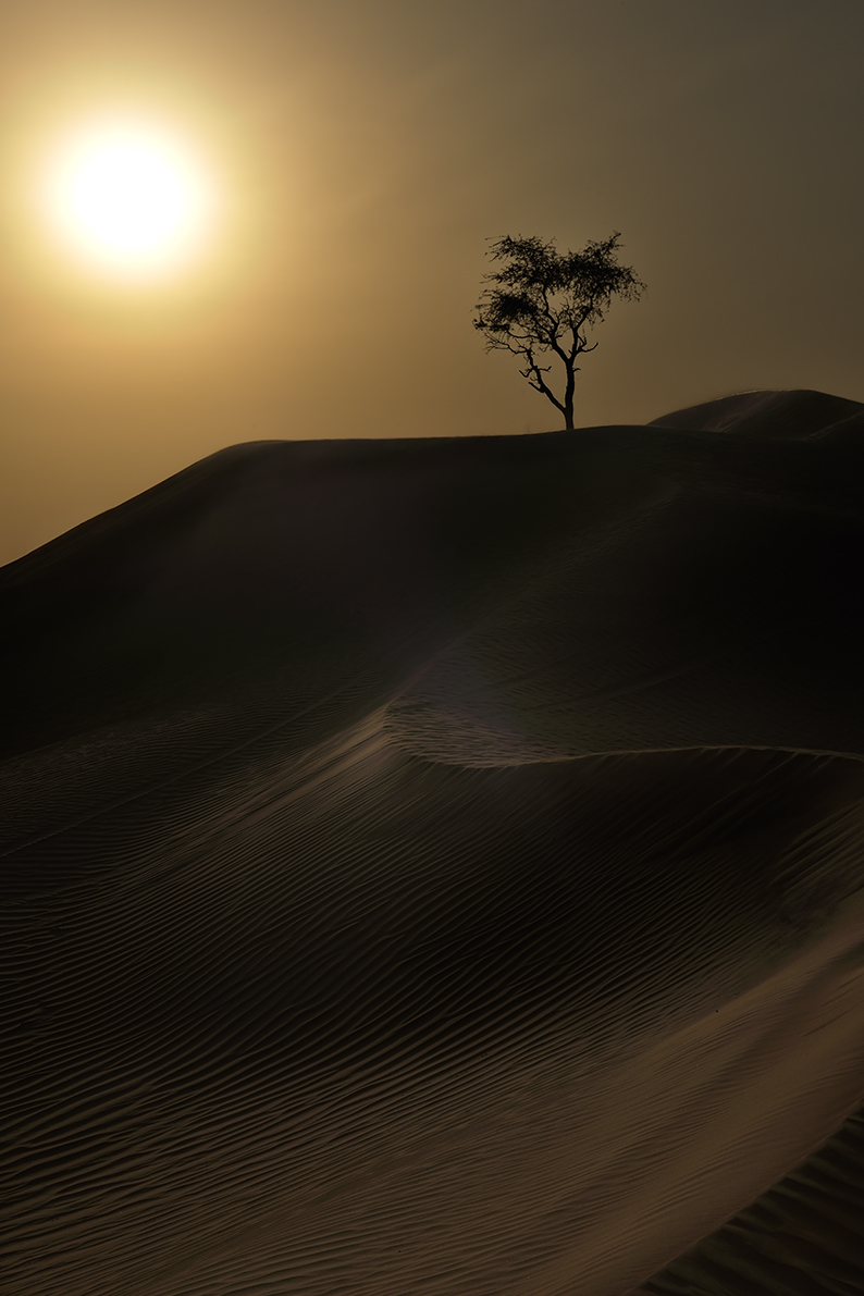 sunset desert
