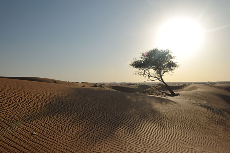 sunset in the desert