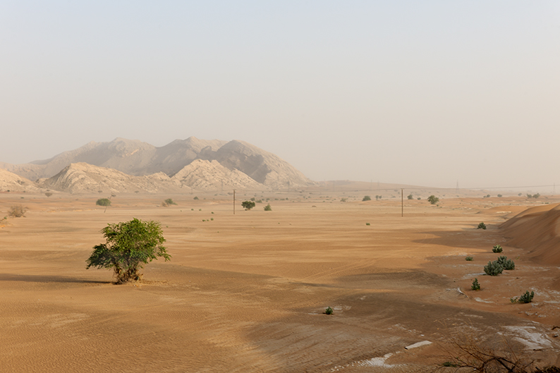 wadi in Sharjah