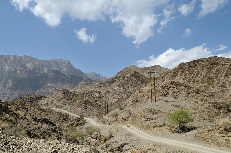 Oman trail Jabal Akhdar Al Hajar