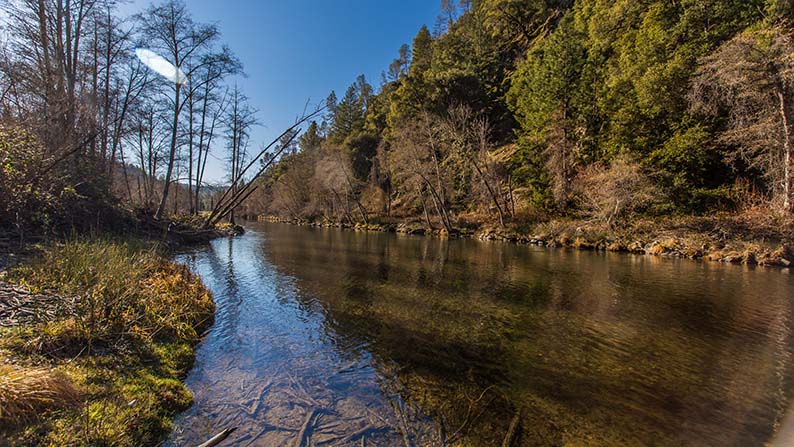 Trinity River