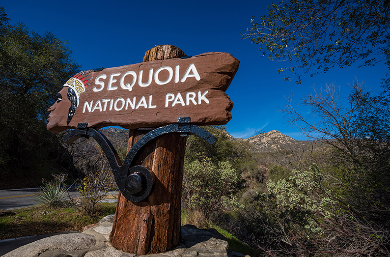 Sequoia National park