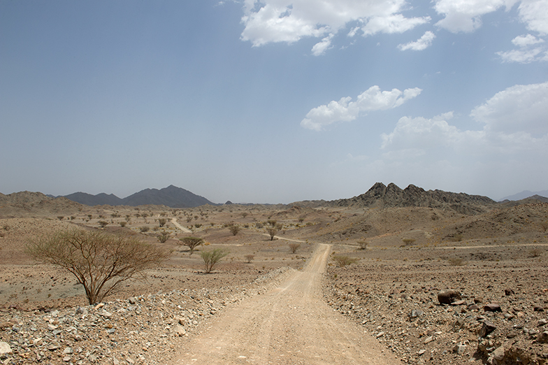 Oman trail