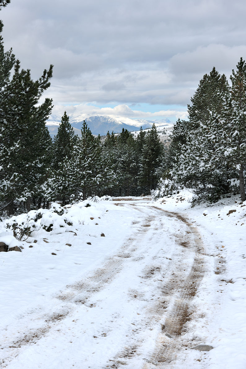 The trails in the Sierra de Boumort covered with snow.