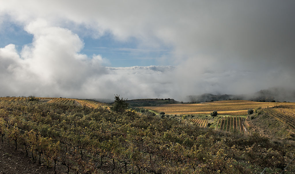 The vineyards on the hills above Tremp.